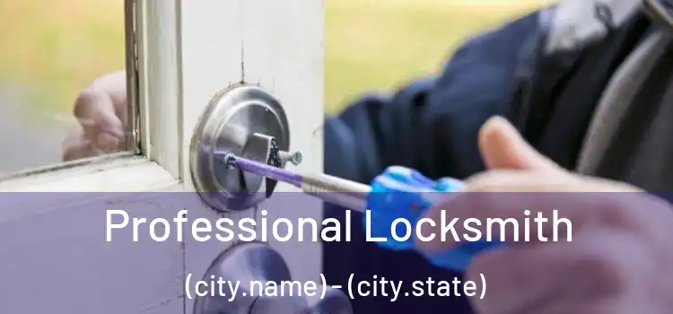 Professional Locksmith (city.name) - (city.state)